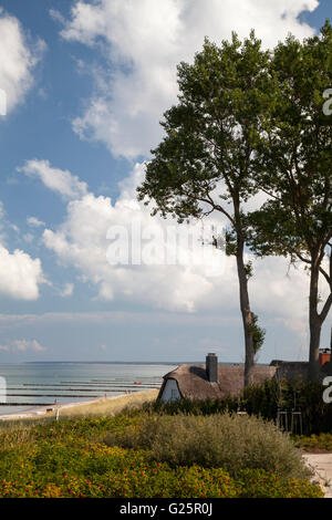 Vues d'Fischland-Hochufer vers la côte, station balnéaire de la mer Baltique La mer Baltique Ahrenshoop, péninsule de Fischland-darss-Zingst Banque D'Images