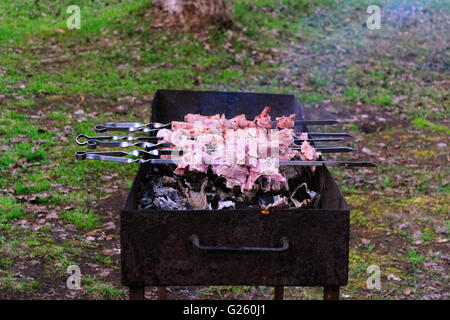 Sur des broches de kebab grillées sur Barbecue Grille. L'herbe verte à l'arrière-plan. Banque D'Images