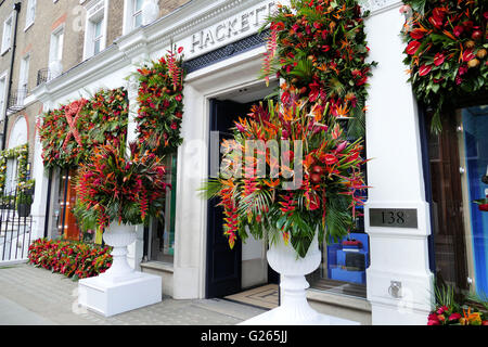 Les détaillants à Chelsea en compétition pour le meilleur des décorations florales dans le cadre de Chelsea en fleurs 2016. Banque D'Images