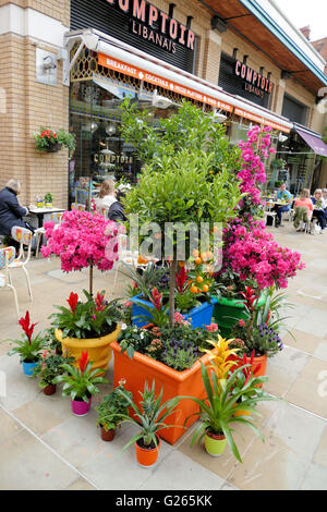 Les détaillants à Chelsea en compétition pour le meilleur des décorations florales dans le cadre de Chelsea en fleurs 2016. Banque D'Images