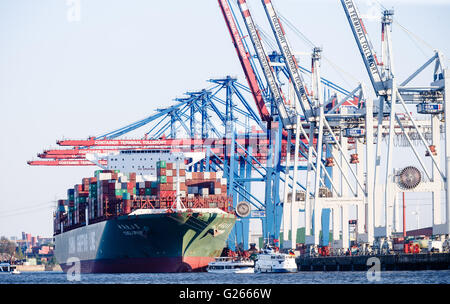 Hambourg, Allemagne. 7 mai, 2016. Le container terminal Tollerort à Hambourg, Allemagne, 7 mai 2016. PHOTO : MARKUS SCHOLZ/dpa/Alamy Live News Banque D'Images