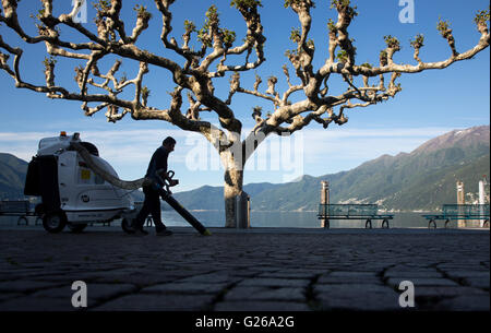 Ascona, Suisse. 25 mai, 2016. Un employé municipal nettoie la promenade au Lac Majeur à Ascona, Suisse, 25 mai 2016. L'Allemagne national soccer squad se prépare à la UEFA EURO 2016 qui se tiendra en France dans un camp d'entraînement à Ascona, Suisse, avant le 03 juin. Photo : Christian Charisius/dpa/Alamy Live News Banque D'Images