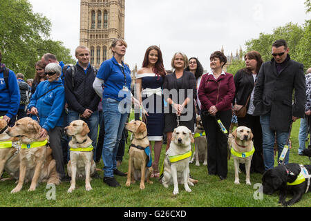 Londres, Royaume-Uni. 25 mai 2016. L-R : Jay Taylor avec ITV de chien guide, l'actrice/modèle Trèfle Jess Impiazzi avec sa mère et chien-guide Kacey, 6 ans. Guide de 100 propriétaires de chiens avec leurs chiens se sont rendus à Westminster Hall aujourd'hui à leurs députés avec l'aide de l'organisme de bienfaisance Les chiens pour des peines plus sévères pour les conducteurs de taxi et de minicab, boutiques et restaurants qui se détournent les chiens guides. Crédit : Images éclatantes/Alamy Live News Banque D'Images