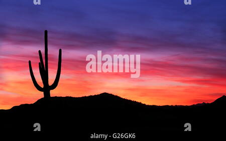 De soleil colorés dans le sud-ouest de l'Arizona désert - coucher de soleil colorés dans le désert de l'Arizona avec silhouette de Saguaro Cactus Banque D'Images