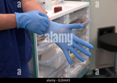 Un technicien de théâtre met des gants bleu stérile en vue d'une opération Banque D'Images