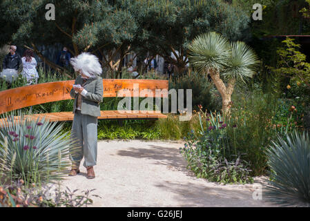 Chelsea, London UK. 23 mai 2016. Einstein sur la Winton Mini beauté des mathématiques Jardin Banque D'Images