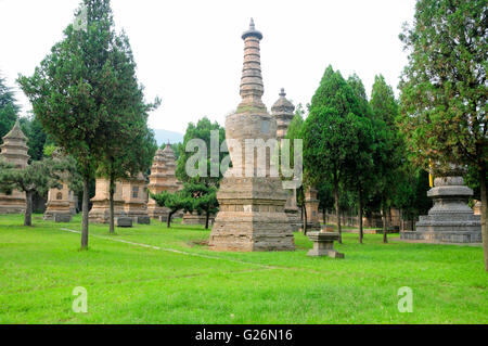 La pagode (forêt talin) à Shaolin Temple scenic area près de la ville de Dengfeng Chine situé dans la province du Henan. Banque D'Images