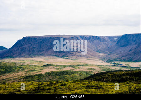 Grand plateau de montagne sec et la vallée avec des arbres et de la végétation verte en premier plan, sous ciel nuageux, à Tablelands, Gros Morne Banque D'Images