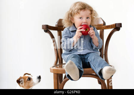 Enfant mange petit chien isolé à apple Banque D'Images