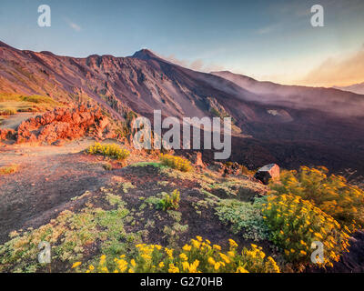 L'Etna en Sicile, Italie avec des fleurs colorées sur le premier plan Banque D'Images