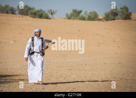 L'homme arabe marche dans un désert près de Dubaï avec le faucon pèlerin sur sa main Banque D'Images