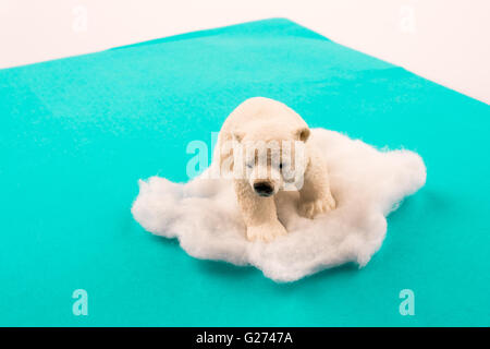 Ours polaire sur la glace sur l'eau Banque D'Images
