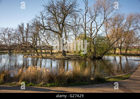 Étang et feuillage en seigneurie Recreation Ground à Tottenham, au nord de Londres, UK Banque D'Images