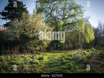 Feuillage en seigneurie Recreation Ground à Tottenham, au nord de Londres, UK Banque D'Images