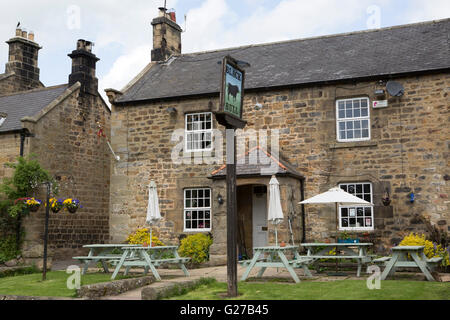 Le taureau noir pub dans Matfen, Angleterre. Un pays se distingue par la pub du village. Banque D'Images