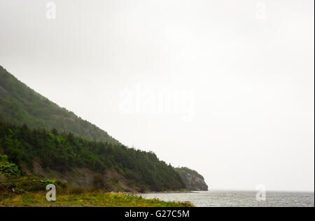 Bordure de la forêt en pente de montagne en diagonal dans l'eau contre le brouillard blanc, à Terre-Neuve, Canada. Banque D'Images