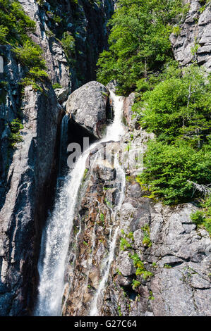 Cascade de montagne s'écoulant vers le bas et les éclaboussures d'escarpements rocheux parmi quelques arbres verts, dans le parc national du Gros-Morne, à Terre-Neuve. Banque D'Images