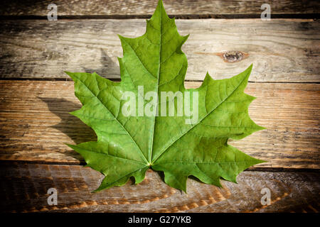 Feuille d'érable allongé sur une table en bois Banque D'Images