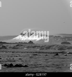 Grande vague scélérate attraper la lumière sur un jour de tempête sur le Gower. Photographie en noir et blanc d''une beauté naturelle exceptionnelle. Banque D'Images
