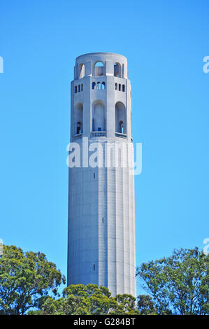 San Francisco : skyline avec vue sur la Coit Tower, construite en 1933, également connu sous le nom de Lillian Coit Memorial Tower, une tour de 210 pieds dans un style Art Déco Banque D'Images