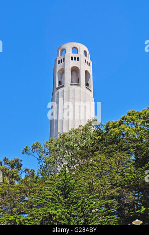 San Francisco : skyline avec vue sur la Coit Tower, construite en 1933, également connu sous le nom de Lillian Coit Memorial Tower, une tour de 210 pieds dans un style Art Déco Banque D'Images