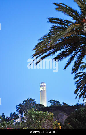 San Francisco : skyline avec vue sur la Coit Tower, construite en 1933, également connu sous le nom de Lillian Coit Memorial Tower, une tour de 210 pieds dans un style Art Déco Banque D'Images