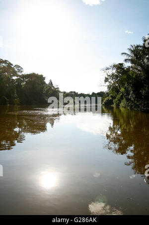 Forêt amazonienne. Remoyacu. Pérou Banque D'Images