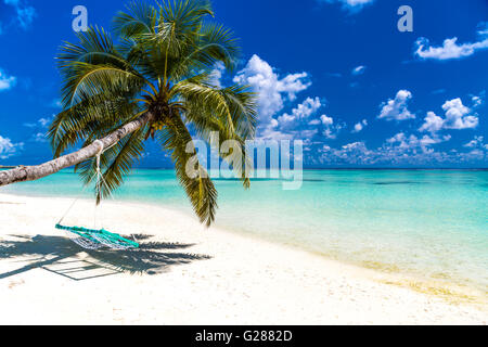 Plage paysage incroyable aux Maldives Banque D'Images