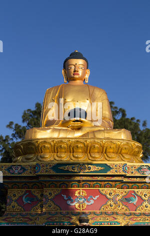 Katmandou, Népal - 20 octobre 2014 : grande statue en or de Bouddha Amideva Park Banque D'Images