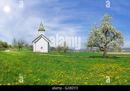 Oberhofen Chapelle Orsingen au printemps Banque D'Images