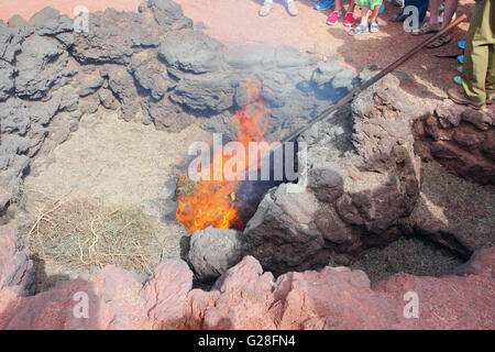 Combustion de paille provenant de la chaleur volcanique. Timanfaya, Lanzarote, Espagne Banque D'Images