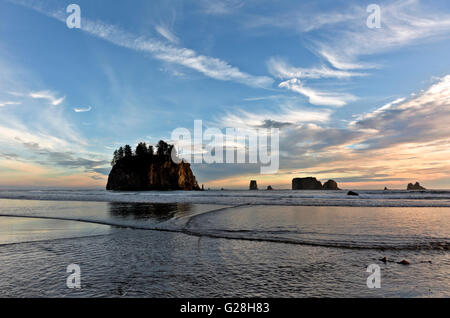 WA12635-00...WASHINGTON - Soirée à la deuxième plage sur la côte du Pacifique dans le parc national Olympic. Banque D'Images