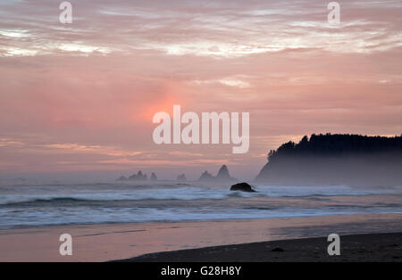 WA12648-00...WASHINGTON - Lever du Soleil à Rialto Beach sur la côte du Pacifique dans le parc national Olympic. Banque D'Images