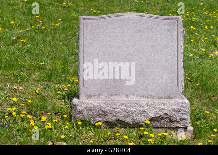 Pierre tombale cimetière de vierge Banque D'Images