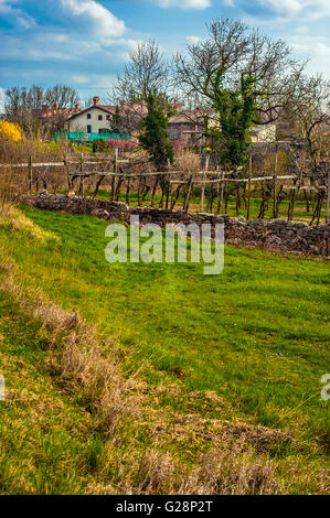 La Slovénie et la Côte- Karst Karst de la Slovénie -Vins Paysage façon Banque D'Images