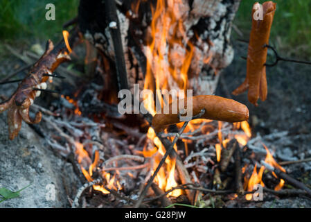 Des saucisses sur un bâton au-dessus du feu. La préparation de saucisses sur feu de camp Banque D'Images