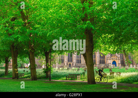 Paysage du Suffolk de l'été, un cycliste à travers le grand cimetière à Bury St Edmunds au début de l'été, Suffolk, Angleterre, RU Banque D'Images