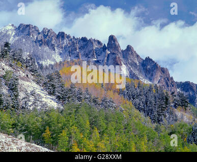 USA, Colorado, Uncompahgre National Forest, chute de neige sur les aiguilles Ophir au-dessus de trembles et de conifères. Banque D'Images