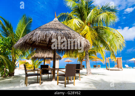 Pavilion et palmiers dans luxury resort Banque D'Images