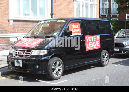 Les visiteurs de l'exposition florale de Chelsea sont encouragés à voter pour quitter ou rester dans l'UE, au cours de la file d'attente. 26 mai 2016, Londres, Royaume-Uni Banque D'Images