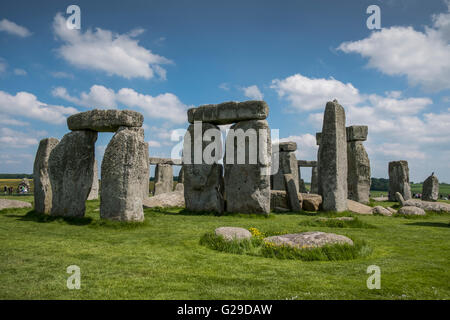 Stonehenge, Wiltshire, Royaume-Uni. 26 mai, 2016. Une magnifique journée à Stonehenge attire beaucoup de visiteurs. Crédit : Paul Chambers/Alamy Live News Banque D'Images