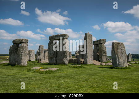 Stonehenge, Wiltshire, Royaume-Uni. 26 mai, 2016. Une magnifique journée à Stonehenge attire beaucoup de visiteurs. Crédit : Paul Chambers/Alamy Live News Banque D'Images