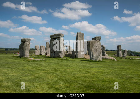 Stonehenge, Wiltshire, Royaume-Uni. 26 mai, 2016. Une magnifique journée à Stonehenge attire beaucoup de visiteurs. Crédit : Paul Chambers/Alamy Live News Banque D'Images