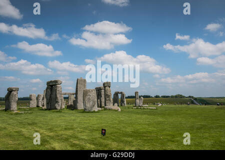 Stonehenge, Wiltshire, Royaume-Uni. 26 mai, 2016. Une magnifique journée à Stonehenge attire beaucoup de visiteurs. Crédit : Paul Chambers/Alamy Live News Banque D'Images