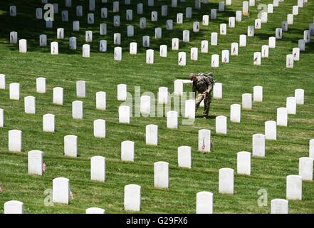 Arlington, États-Unis. 26 mai, 2016. Un soldat du 3e Régiment d'infanterie américaine met les drapeaux sur les sites de sépulture pendant les 'Flags-In' cérémonie au cimetière national d'Arlington, à Arlington, Virginie, États-Unis, le 26 mai 2016. Plus de 1 000 soldats placés drapeaux pour plus de 223 000 tombes dans le cimetière pour marquer le Jour du Souvenir, le dernier lundi de mai. Credit : Yin Bogu/Xinhua/Alamy Live News Banque D'Images