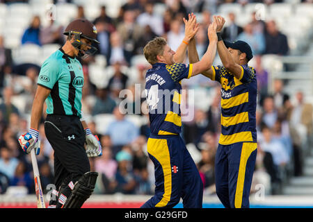 Londres, Royaume-Uni. 26 mai 2016. Timm van der Gugten célèbre obtenir le guichet de James Burke bowling pour Glamorgan dans le T20 blast match de cricket de l'anneau. David Rowe/Alamy live news. Banque D'Images