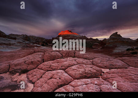 White Pocket rock formations, Vermilion Cliffs National Monument, Arizona, USA Banque D'Images