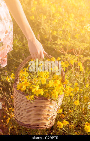 Panier de fleurs sauvages jaune fraîchement cueillies Banque D'Images