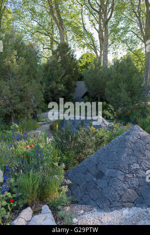 2016 RHS Chelsea Flower Show, la Banque Royale du Canada, Le Jardin Designer Hugo bugg Banque D'Images