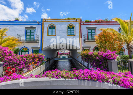 Belle pourpre fleurs de bougainvilliers ornent le front d'une chambre à Puerto de Mogan, Grande Canarie Banque D'Images